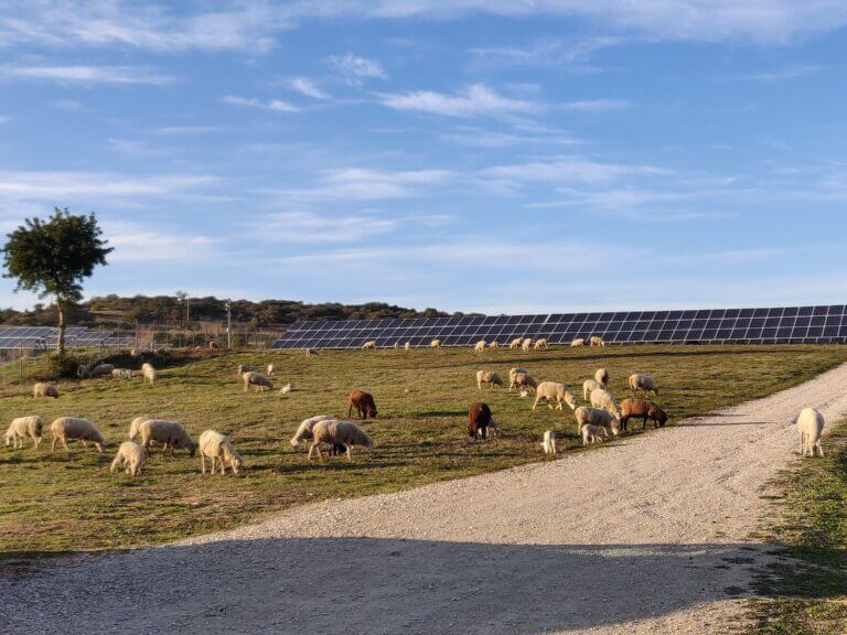 Il fondo Glennmont diventa un produttore di energia solare: nasce BNZ