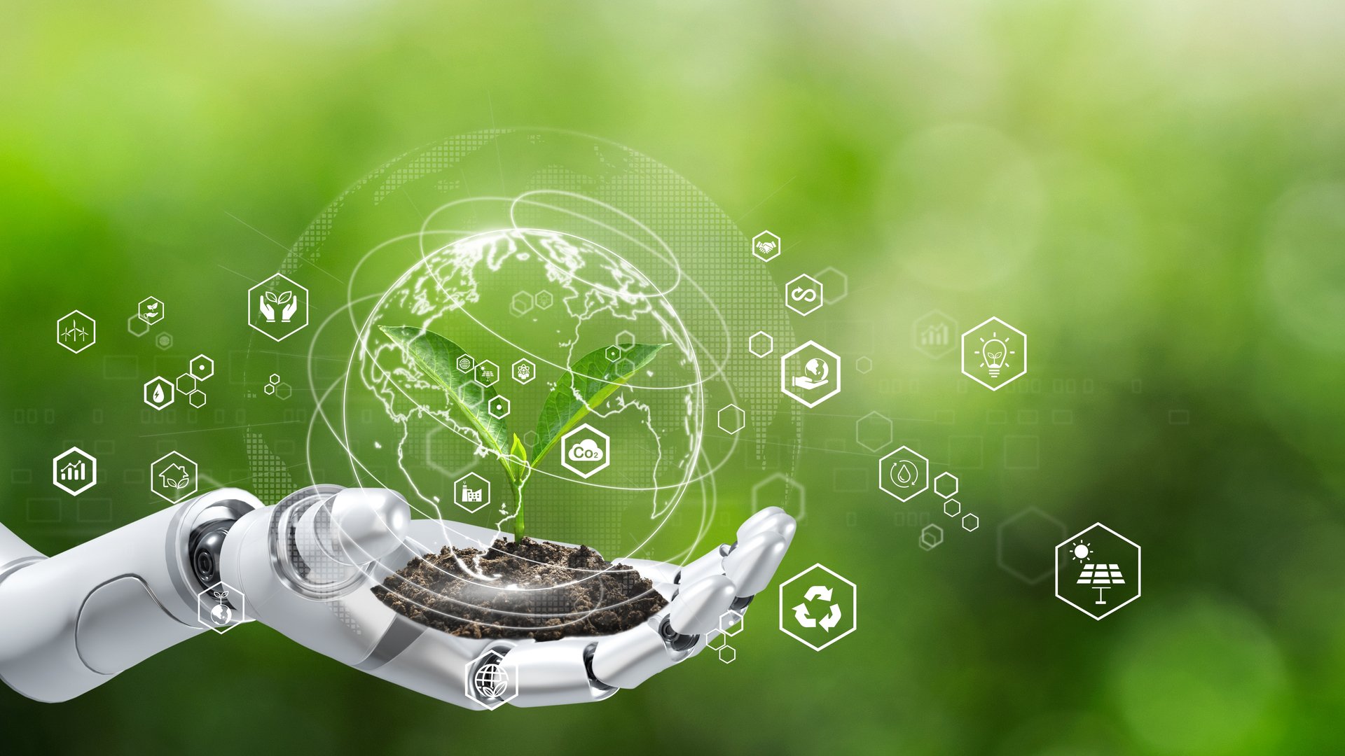 Innovazione Sostenibile Ecco Come Valorizzare Persone E Ambiente