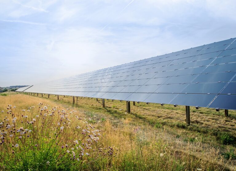 solarpark_rwe_15x10_300dpi_img_h900