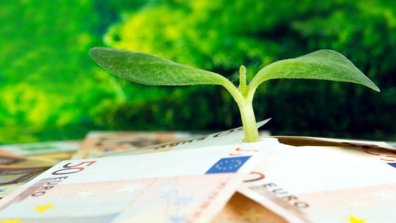 monetizzare la decarbonizzazione