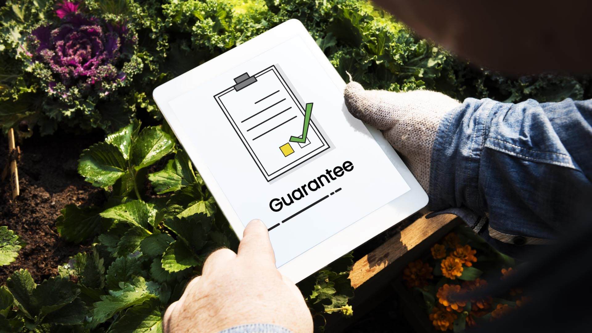 certificazioni di sostenibilità