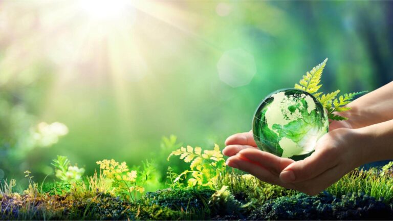 Innovazione per la sostenibilità nelle PMI: arriva ECOgenius