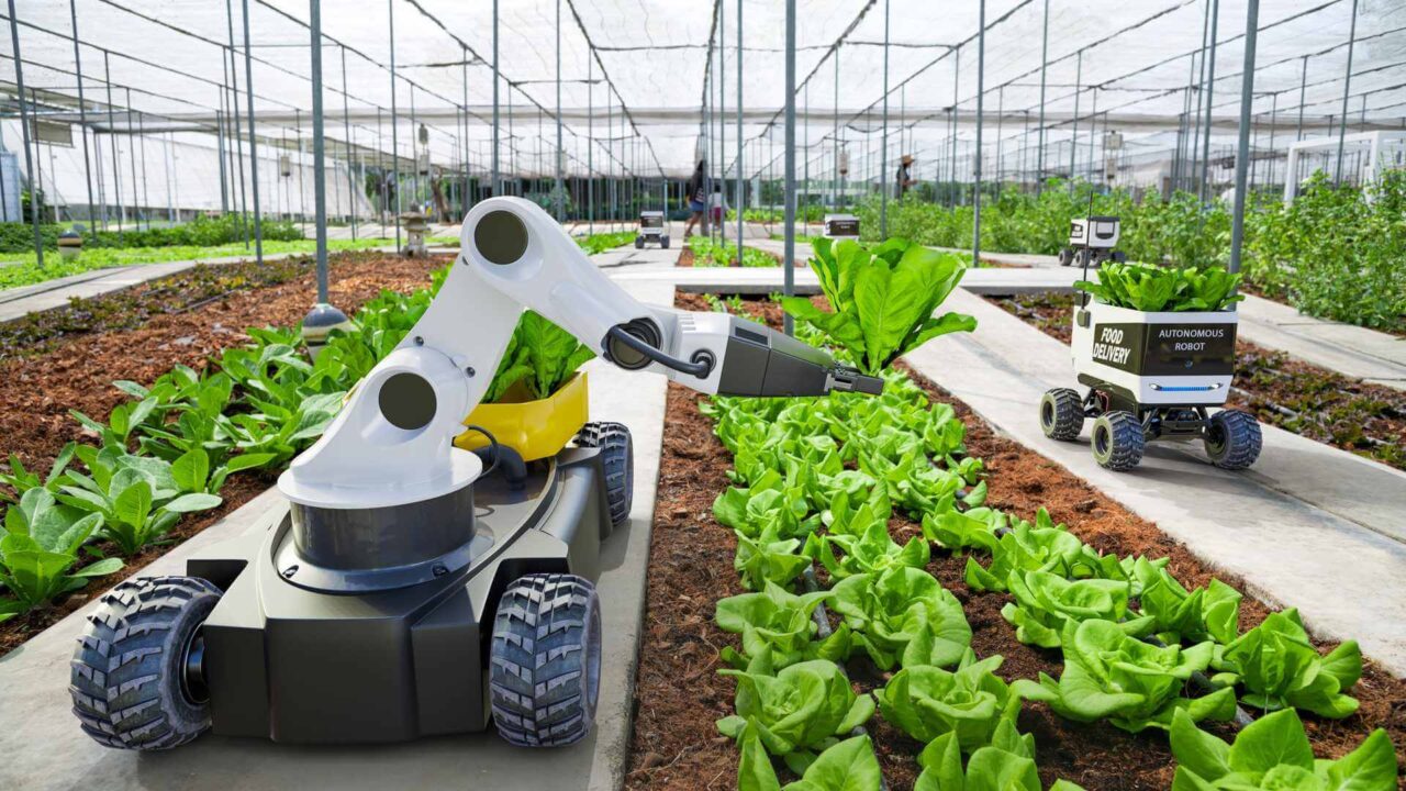 transizione tecnologica dell'agroalimentare