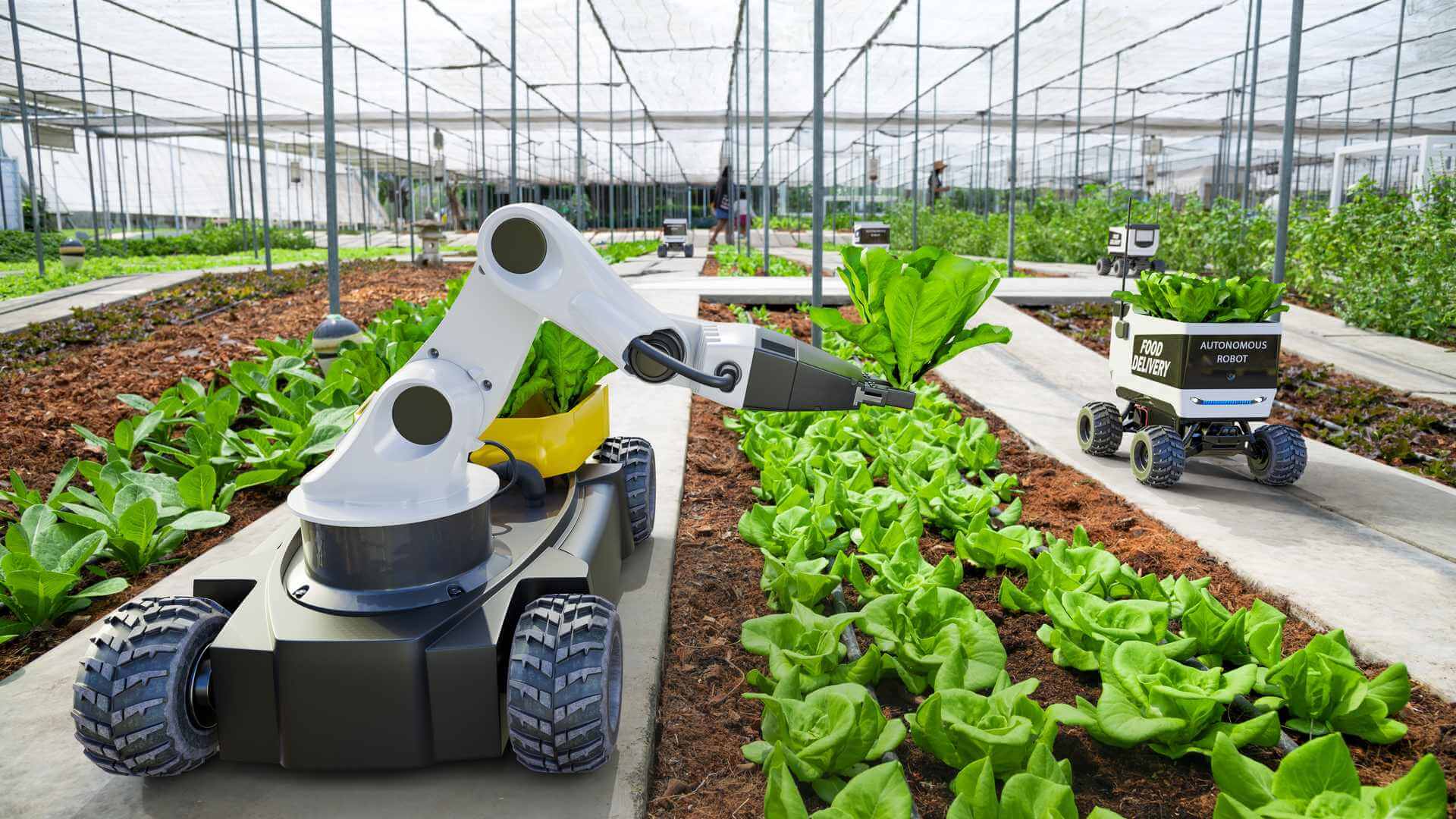 transizione tecnologica dell'agroalimentare