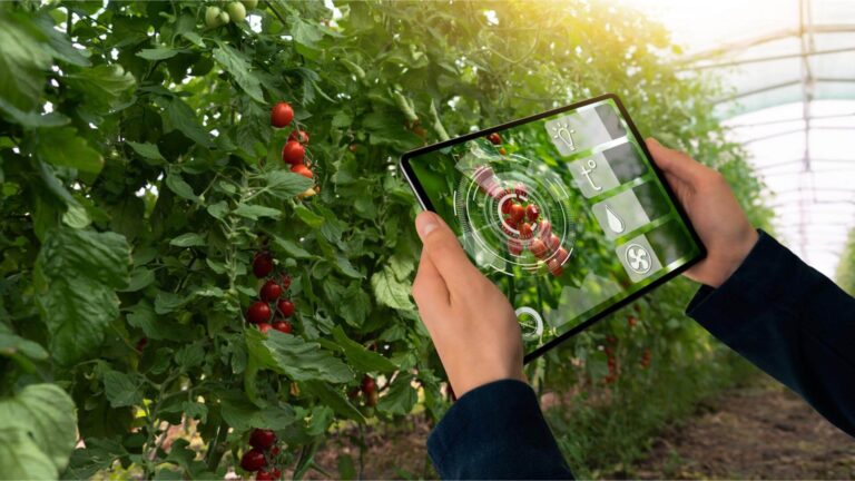 agrifood sostenibile