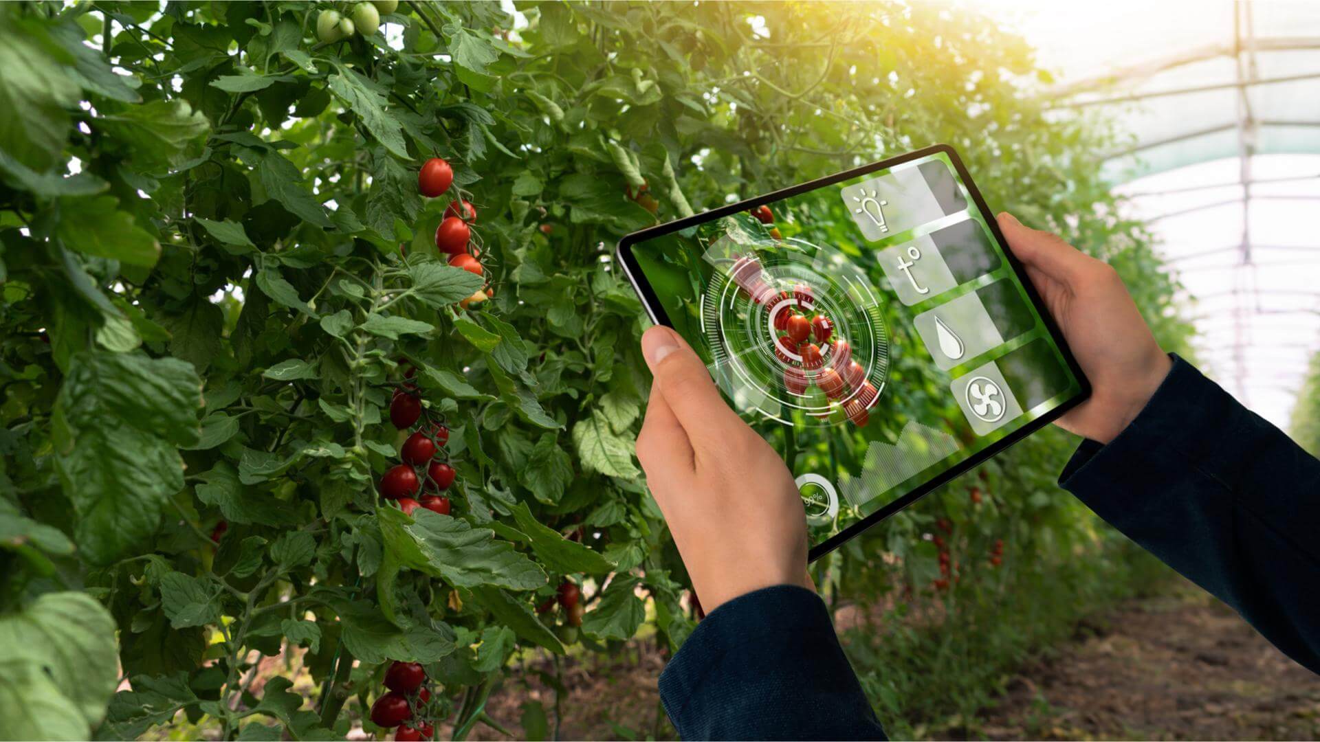 agrifood sostenibile