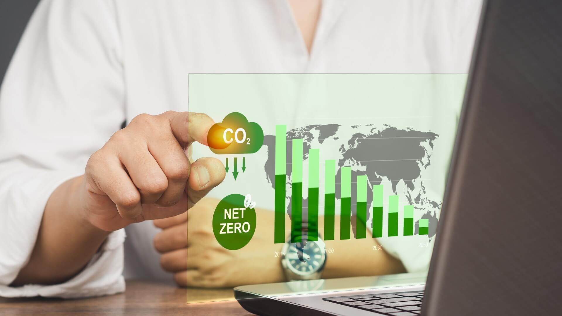 carbon credit market