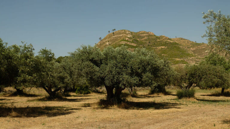 geopark