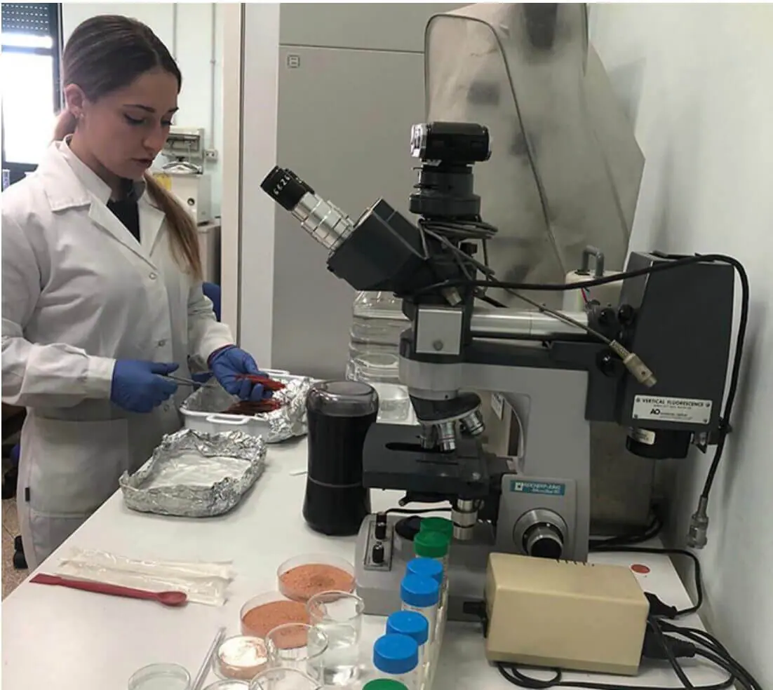 Leggi l'articolo Economia blu sostenibile: BYTHOS trasforma gli scarti di pesce per la salute umana