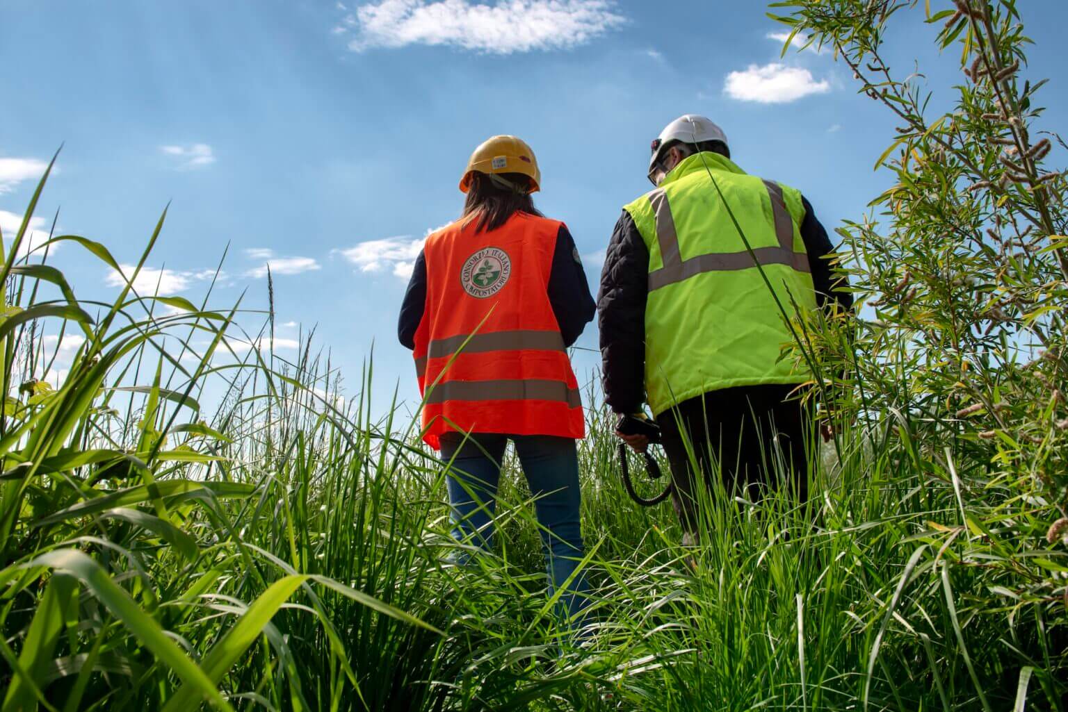 Urban Carbon Farming: nuove prospettive per la sostenibilità urbana ...