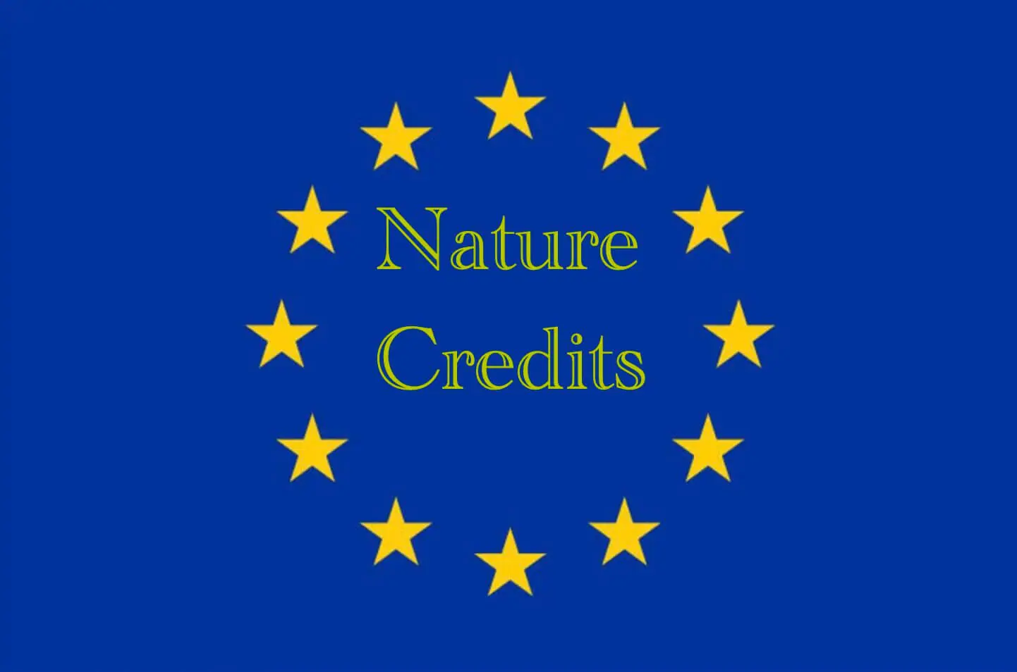 Leggi l'articolo Nature credits roadmap: la tabella di marcia della Commissione UE