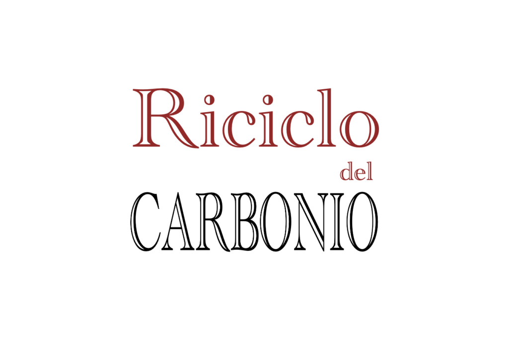 Riciclo del carbonio