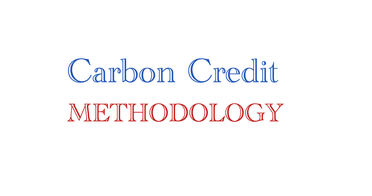 carbon credit methodology
