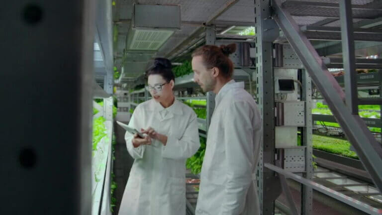 FoodTech Incubator