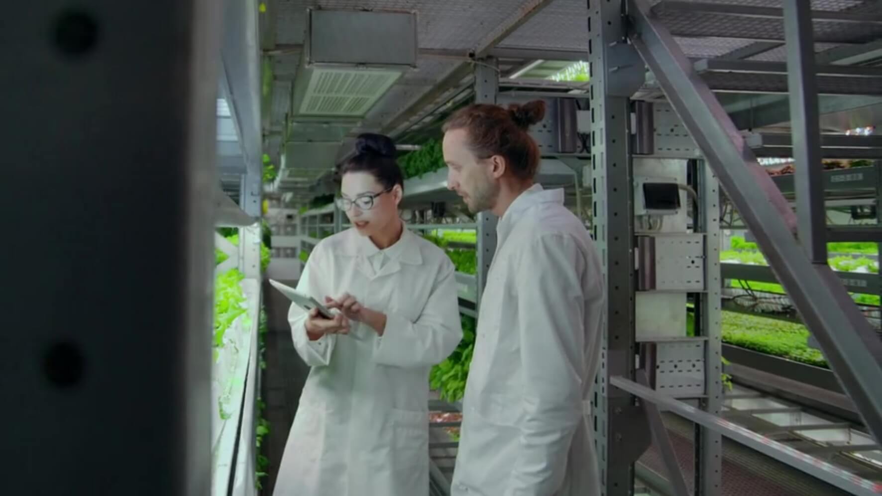 FoodTech Incubator