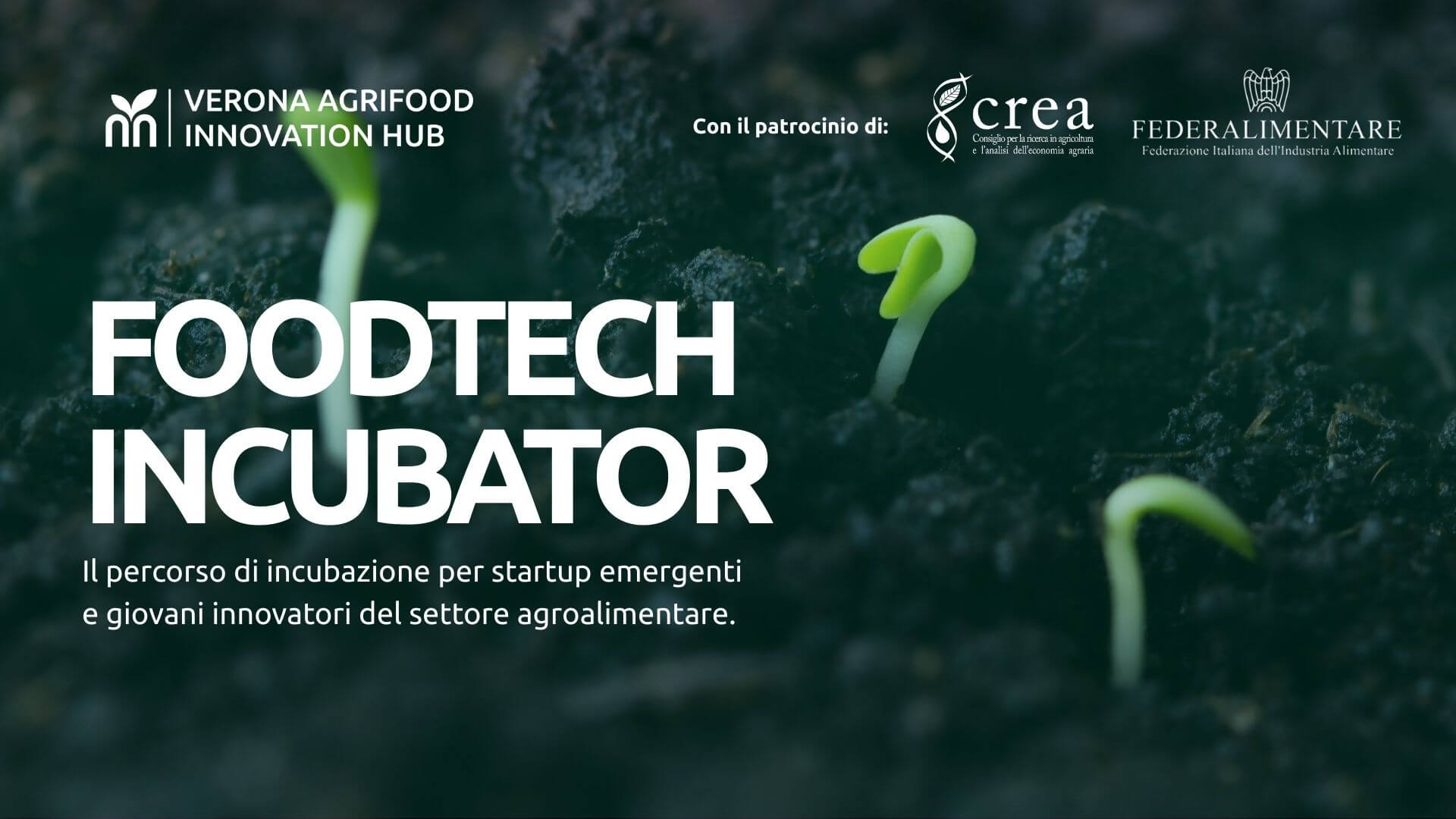 FoodTech incubator