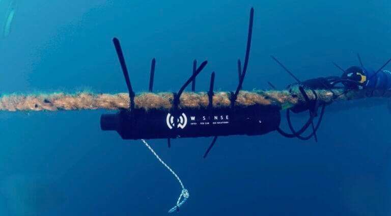 : Internet sottomarino per il monitoraggio dei golfi