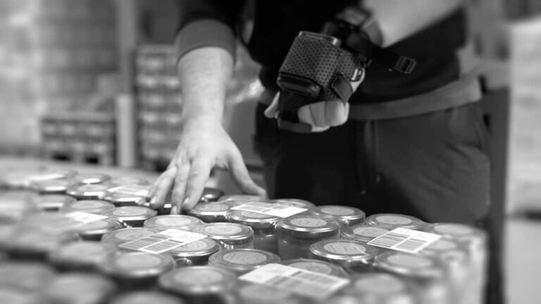 logistica sostenibile STESI