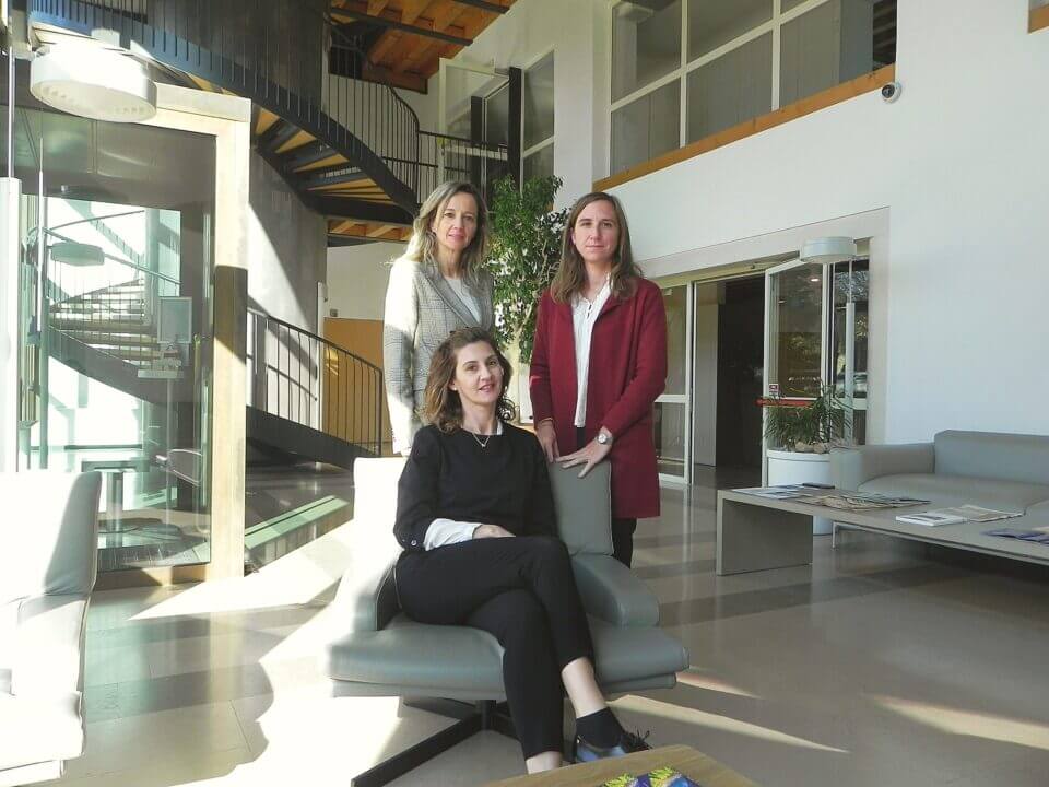 collegi sindacali sostenibilità