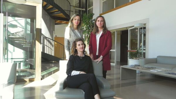 collegi sindacali sostenibilità