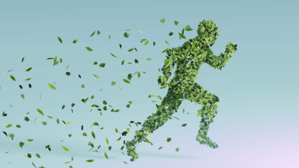 Come si diventa sustainability manager