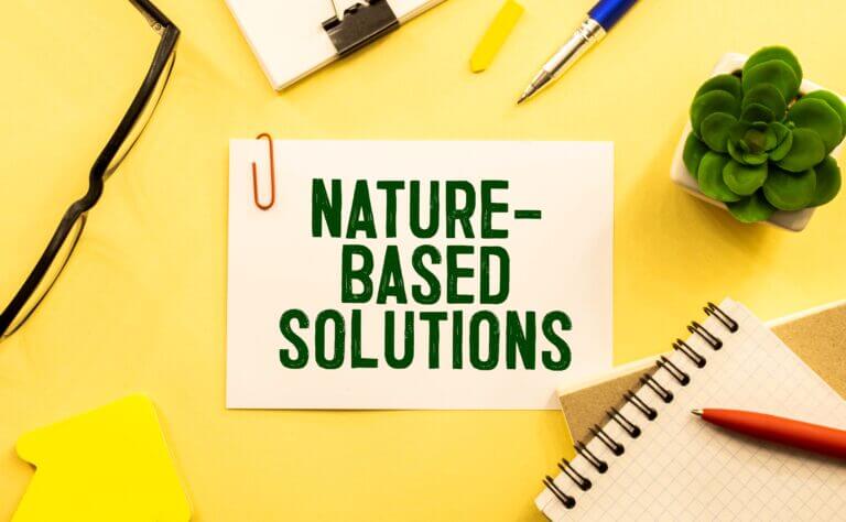 Nature Based solutions