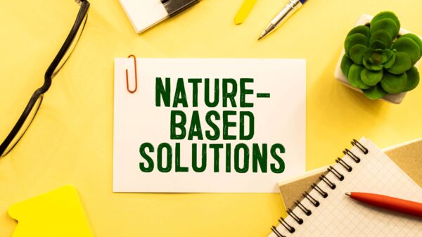Nature Based solutions