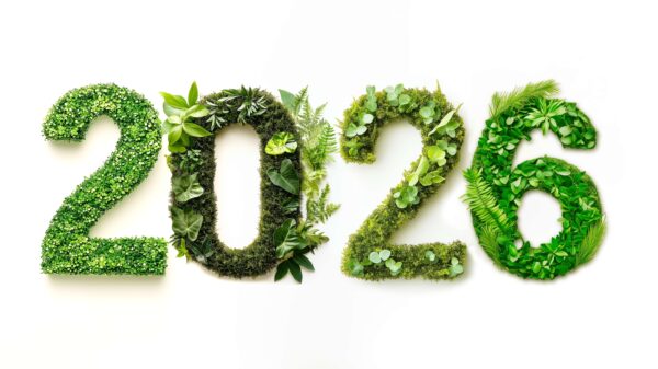 esg e trasparenza geografica