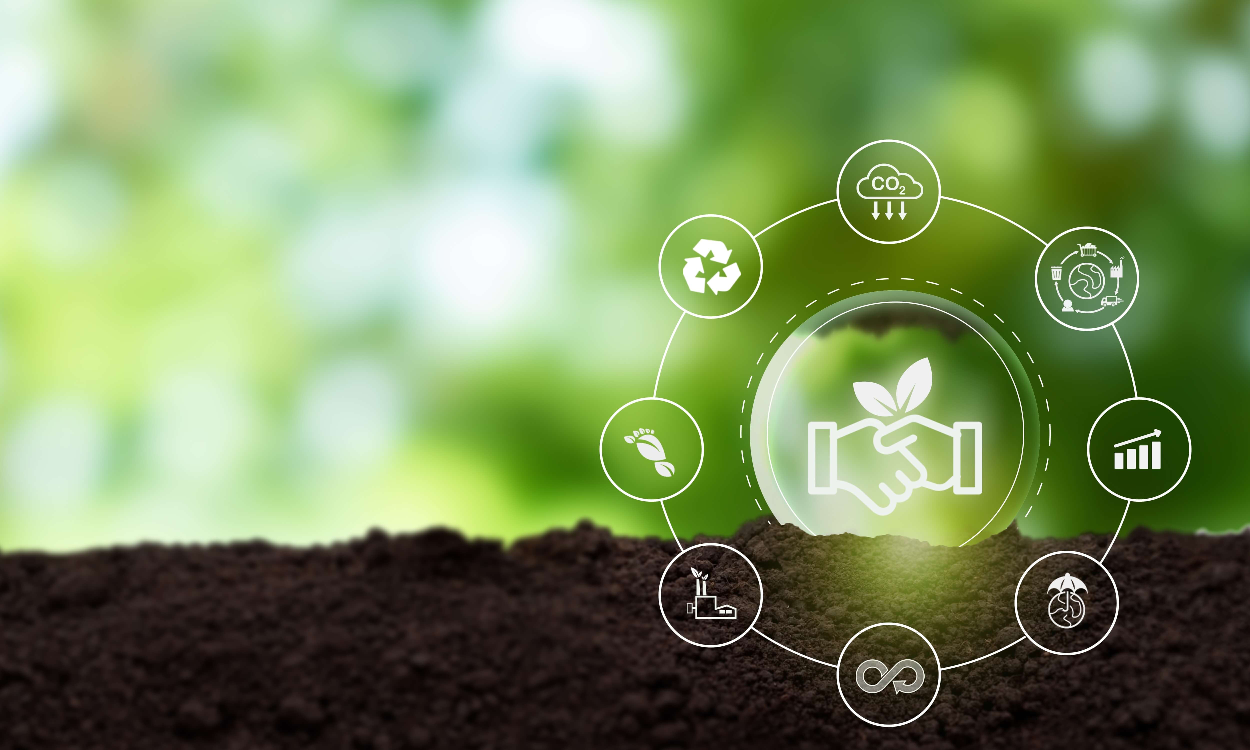 biodiversità strategie aziendali