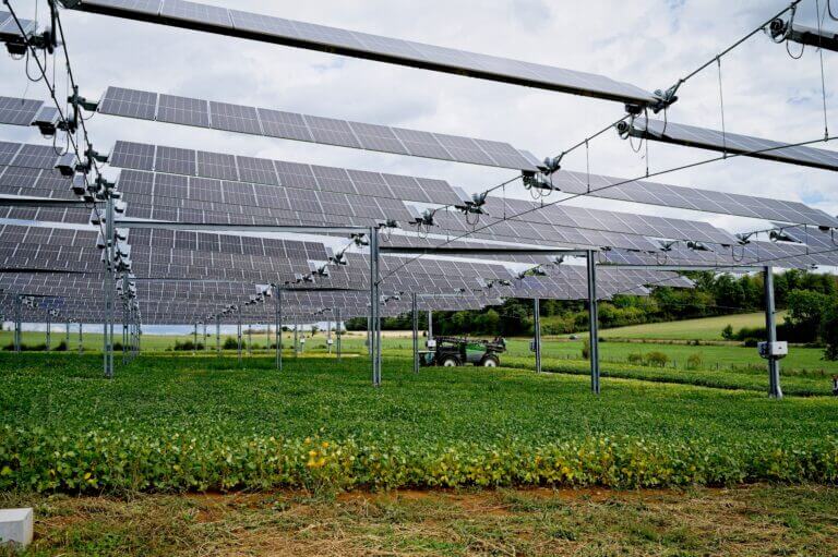 Agrivoltaico e sviluppo