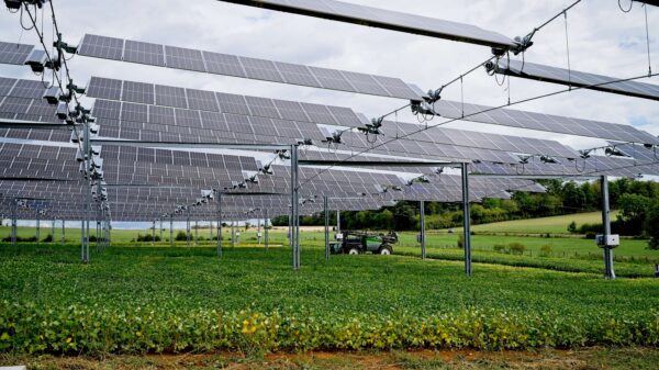 Agrivoltaico e sviluppo