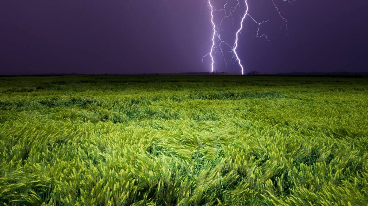 rischio climatico economia