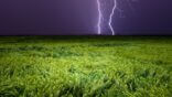 Lightning,Striking,Over,Green,Grain,Field,Under,Dark,Stormy,Sky.