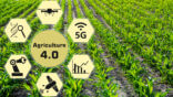 Osservatorio smart agrifood 2026