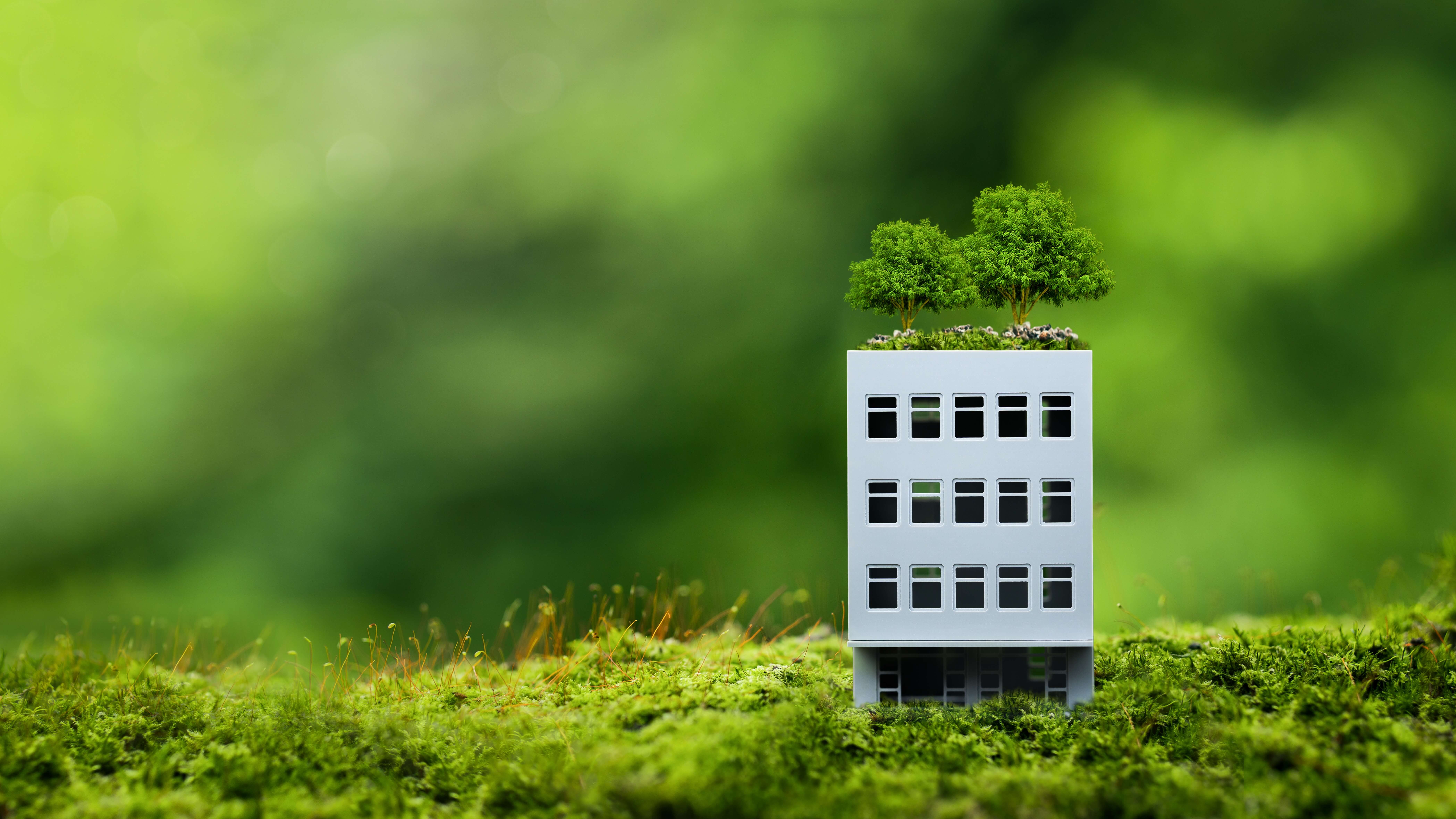 infrastruttura verde