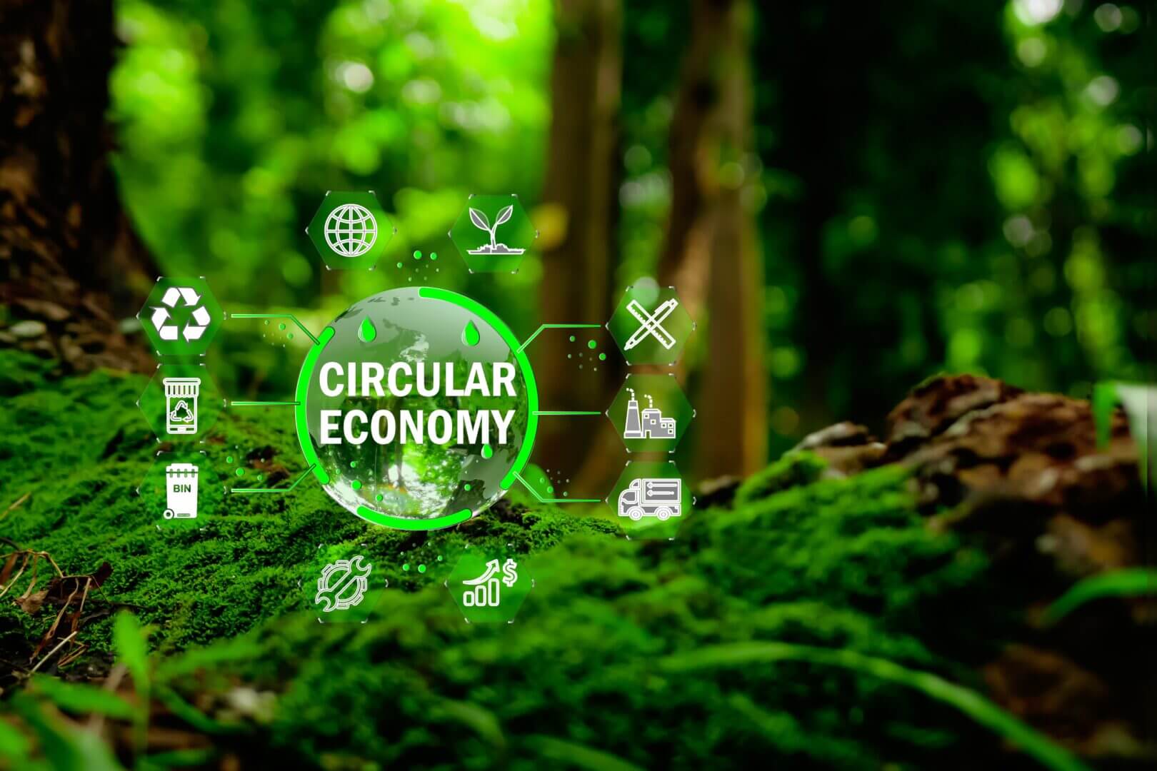 Circular Economy Act