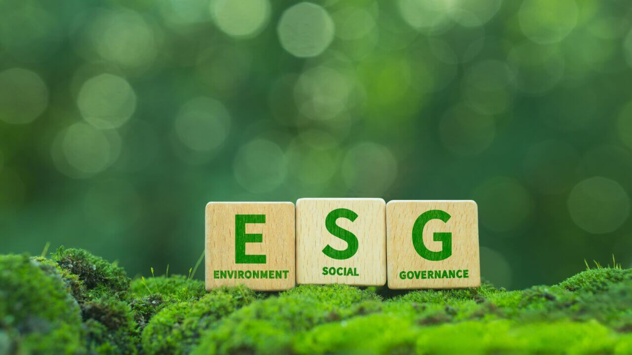 supply chain esg greenwashing e comunicazione di impresa