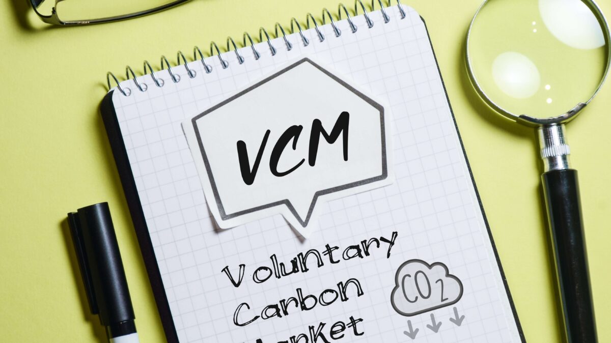 Voluntary Carbon Market