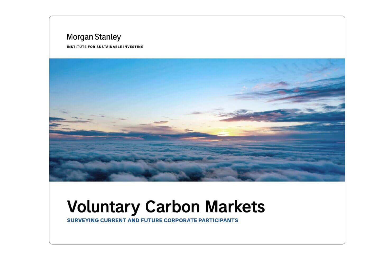 Voluntary Carbon Market