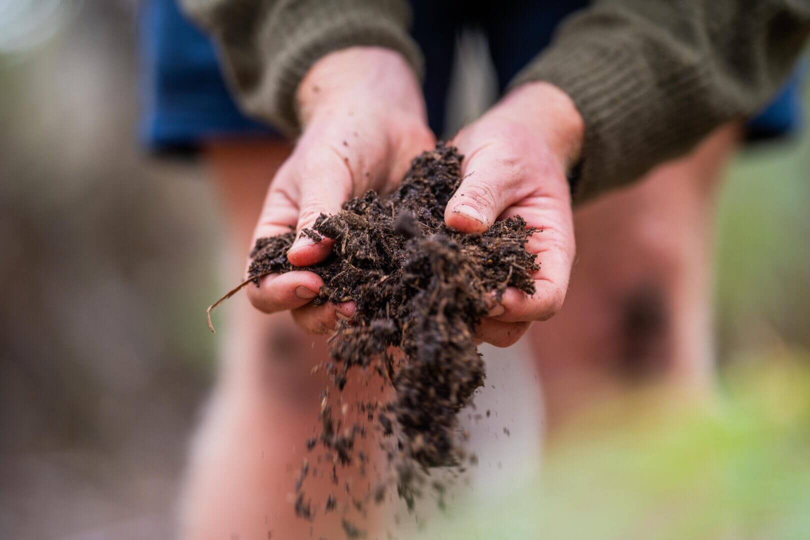 carbon farming europeo