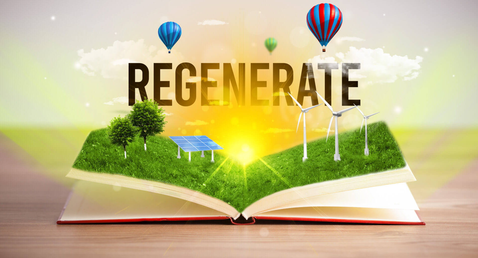 valore green IT rigenerata