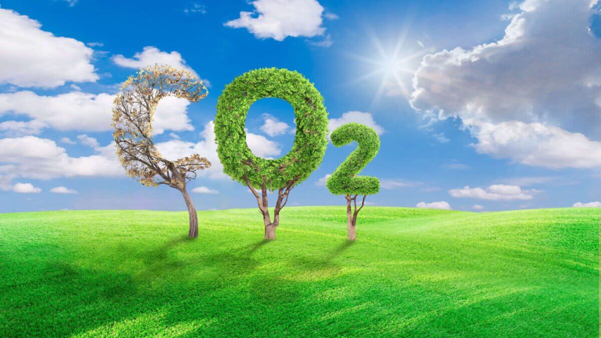 carbon removal con agricoltura rigenerativa