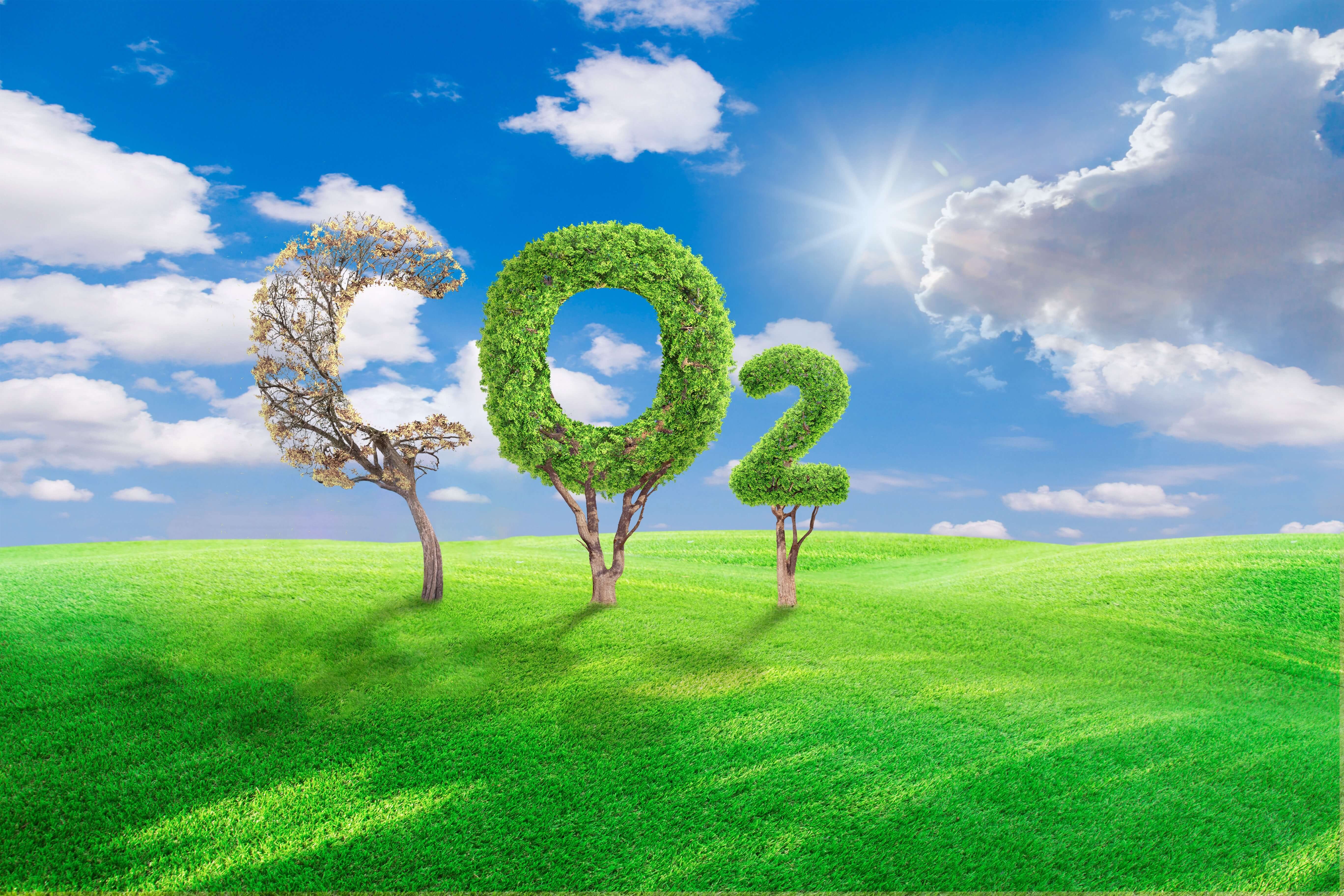 carbon removal con agricoltura rigenerativa