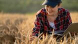 Woman,Farmer,Working,With,Laptop,On,Wheat,Field.,Smart,Farming