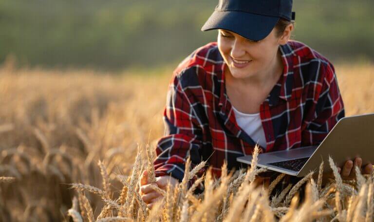 Woman,Farmer,Working,With,Laptop,On,Wheat,Field.,Smart,Farming