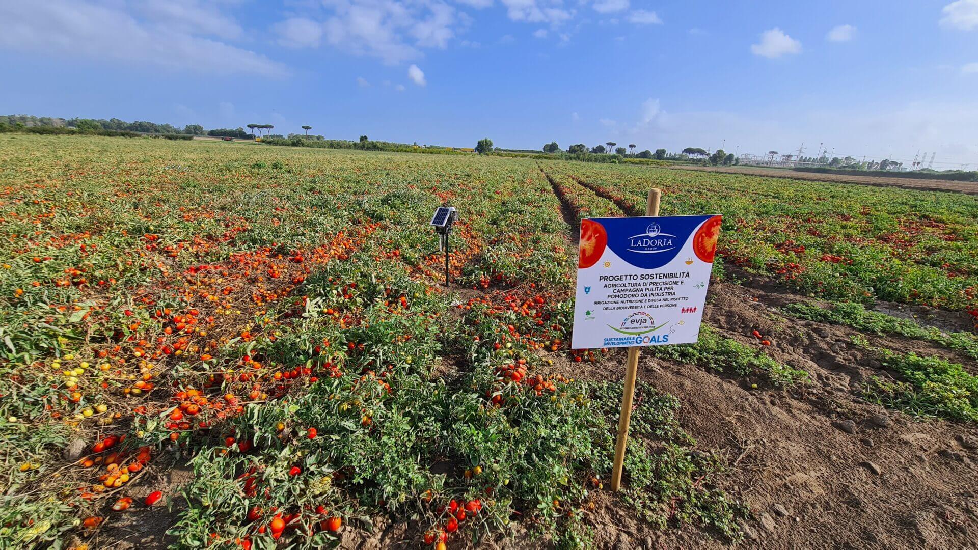 Agritech e responsabilità sociale