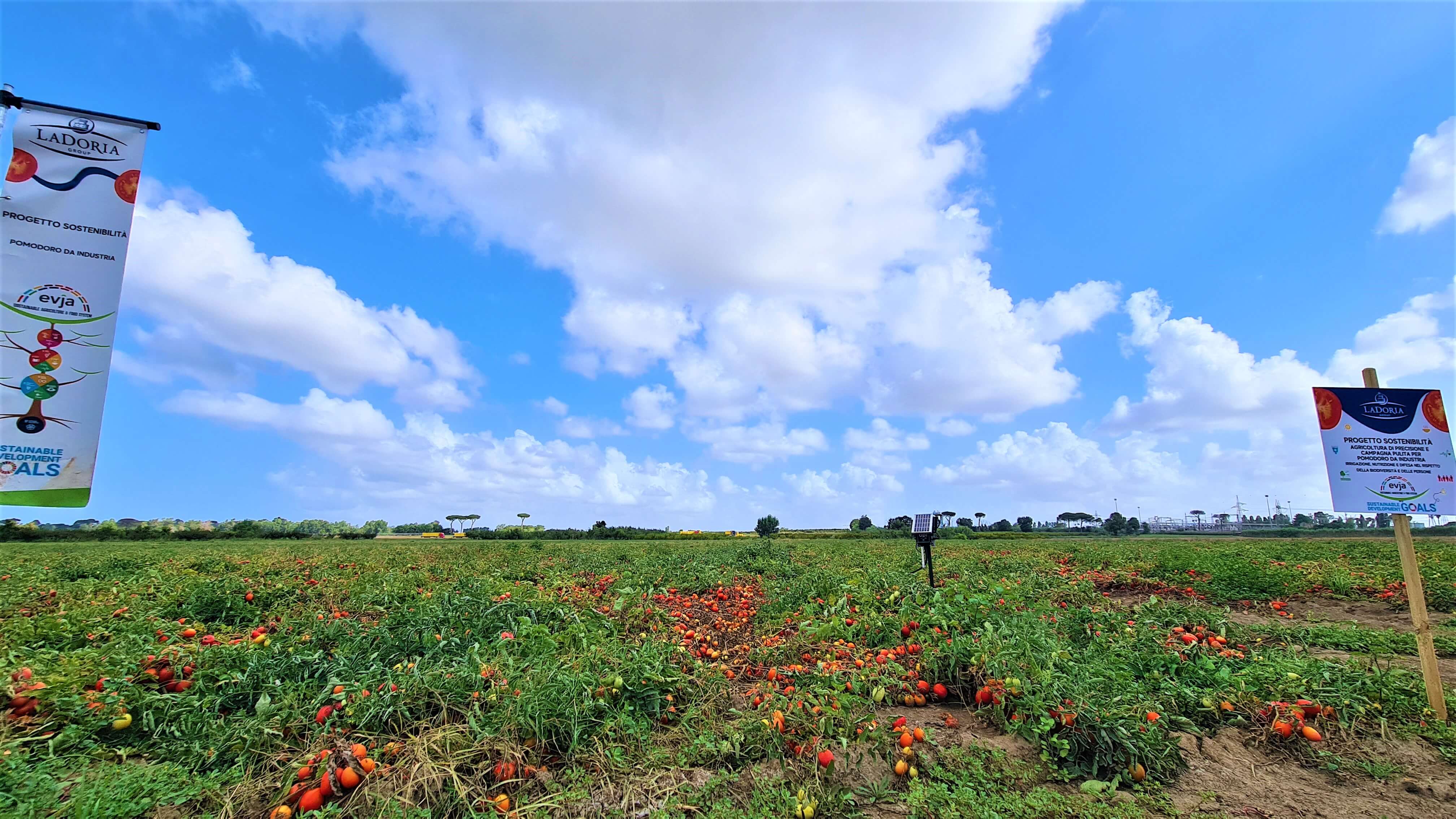 Agritech e responsabilità sociale