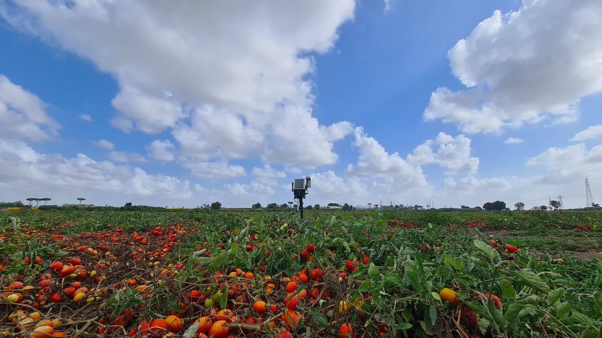 Agritech e responsabilità sociale
