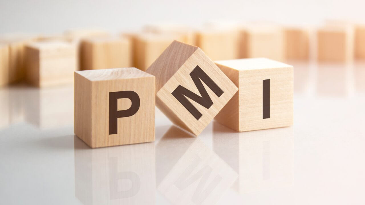 PMI e sostenibilità