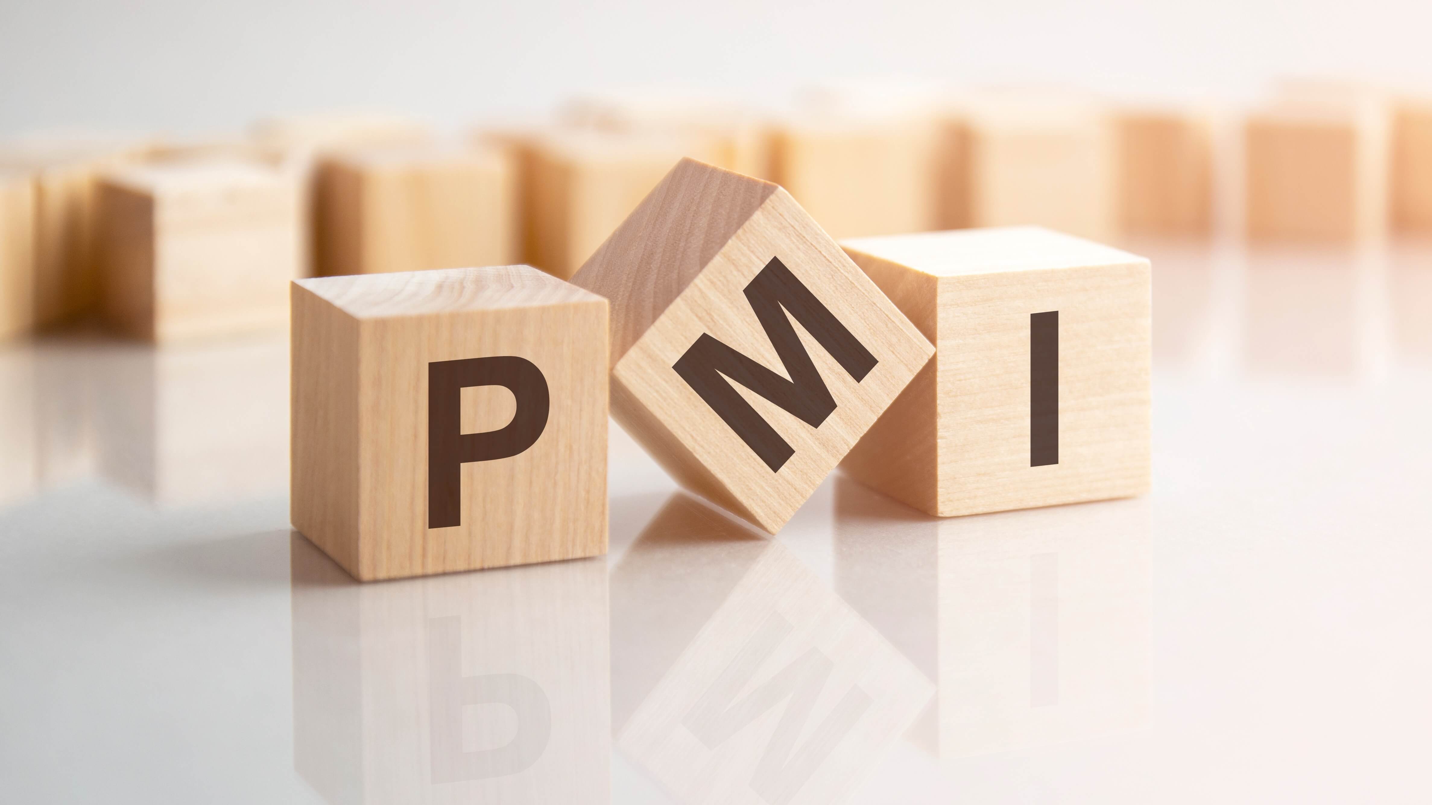 PMI e sostenibilità
